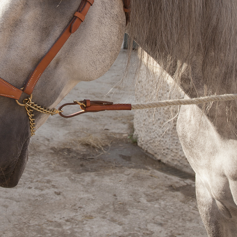 Deluxe Presentation Halter