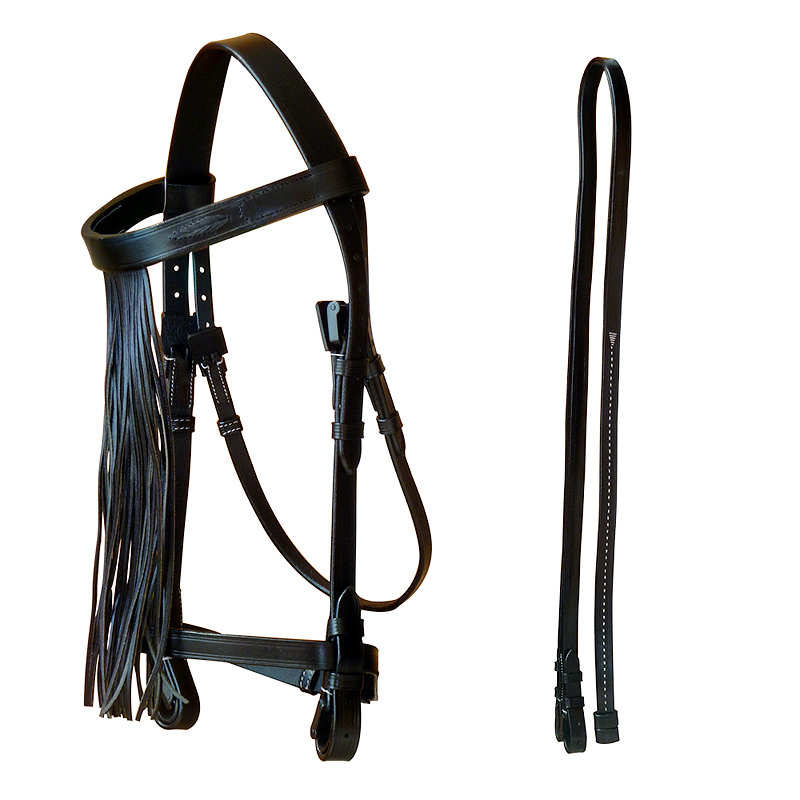 Don Juan Vaquera Bridle