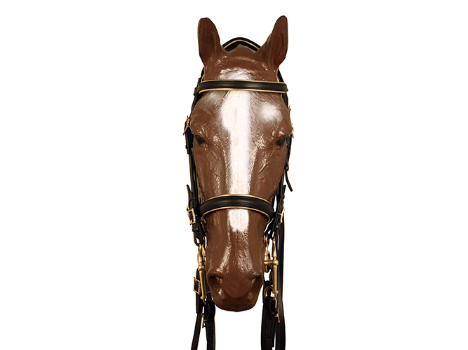 Double Portuguese Buckle Bridle