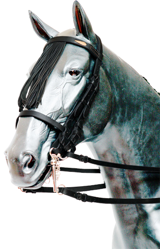 Double Vaquera Bridle