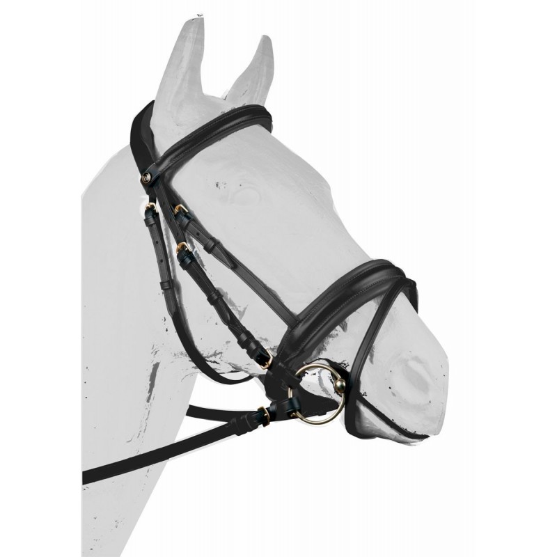 English Bridle San Jorge