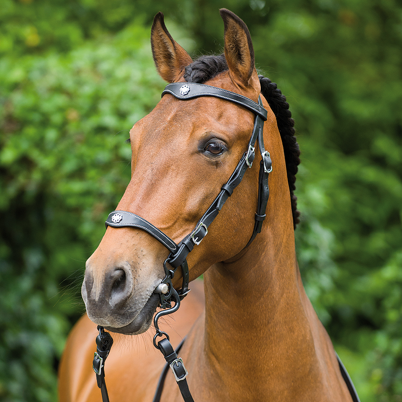 Lusitanius Portuguese Bridle