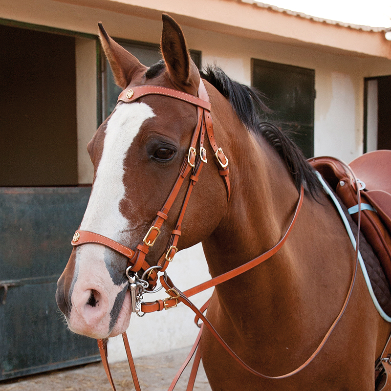 Lusitanius Portuguese Bridle