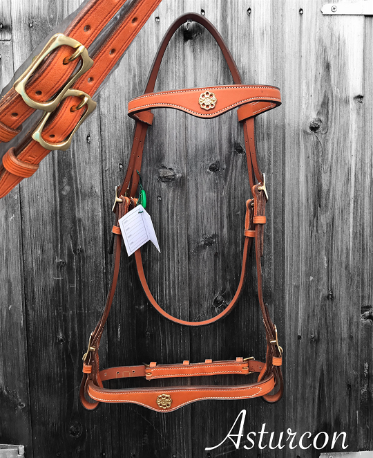 Lusitanius Portuguese Bridle