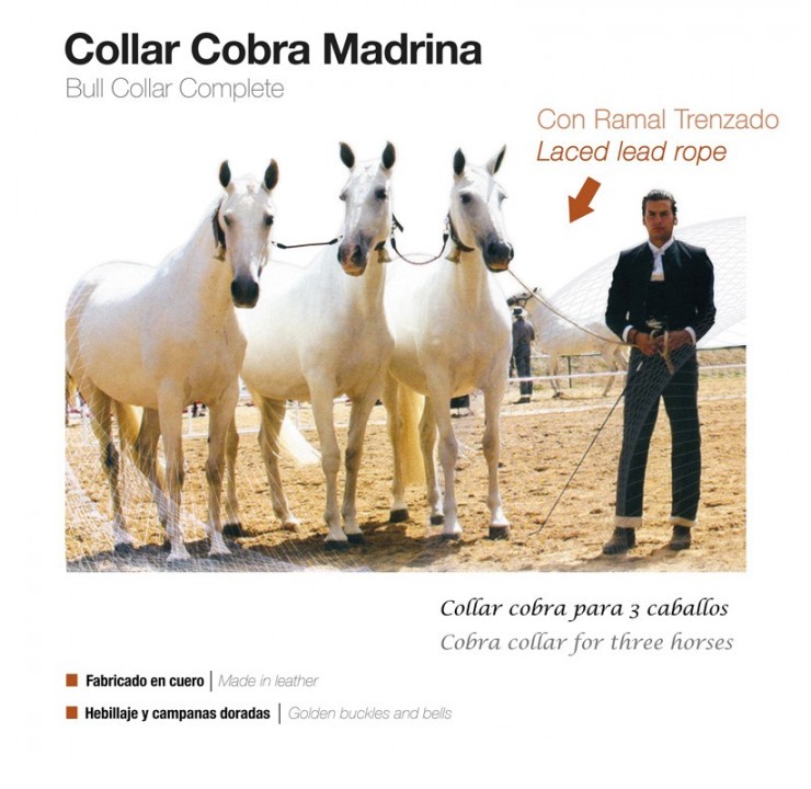 Mare Cobra Collar & Show Lead
