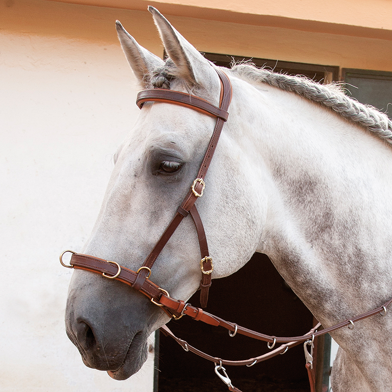 Oslo Training Bridle