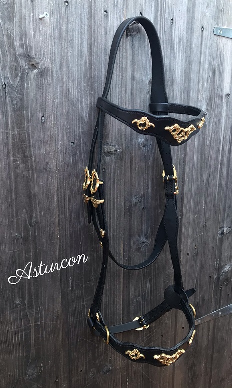 Portuguese Sidepull Bridle