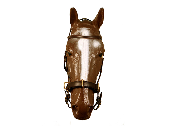 Presentation Bridle with Cavesson