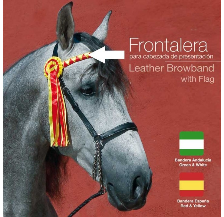 Show Rosette Browband
