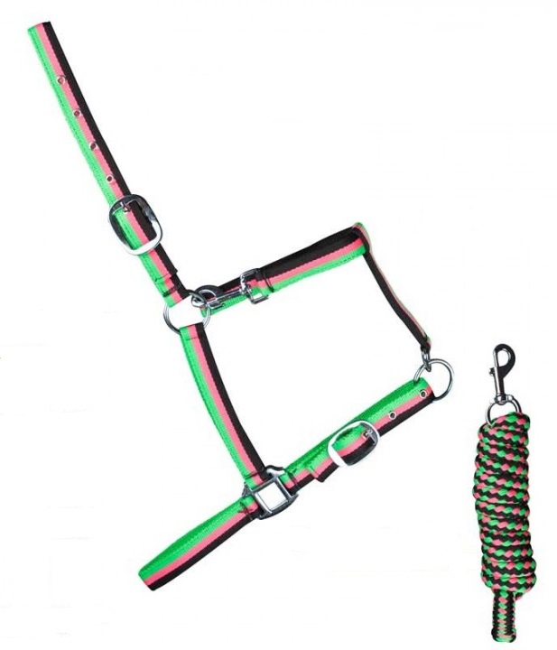 Striped Halter & Lead