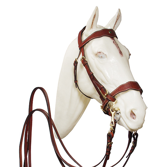 Working Equitation Bridle